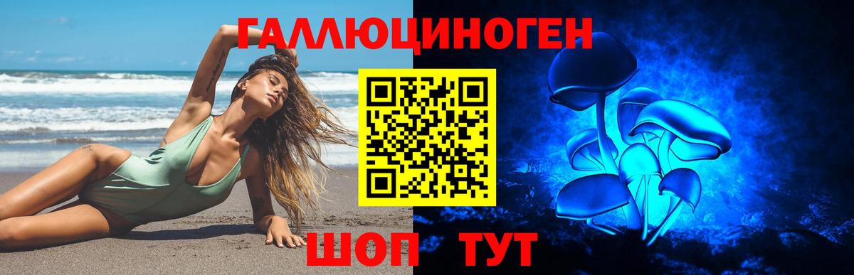 Светлоград  Псилоцибиновые грибы GOLDEN TEACHER  Вход с VPN 
